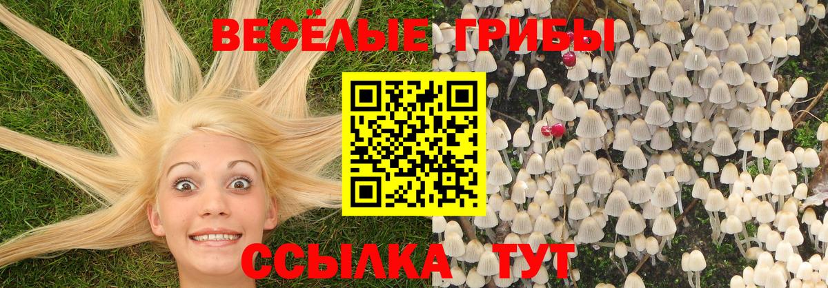 Югорск  Псилоцибиновые грибы ЛСД  Псилоцибиновые грибы прущие грибы  Вход с VPN 