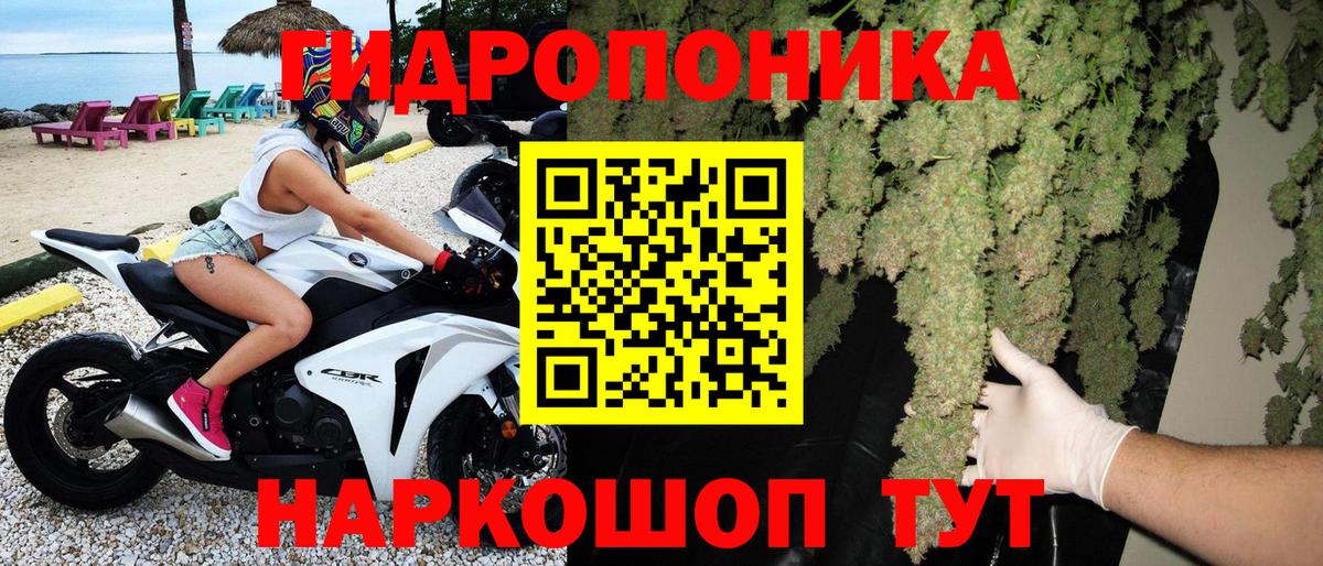 Конопля семена Югорск